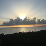 Profile Picture of Wyatt Jackson (@ogwydog_) on Instagram