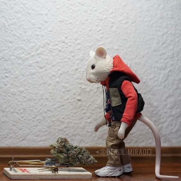 Profile Picture of Joseph Costello (@joeyklyric12) on Poshmark