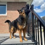 Profile Picture of Michael Walach (@Michael-Walach) on Facebook