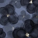 Bushra Haque - Facebook Profile Picture of Bushra Haque (@Bxshr1) on Facebook