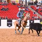 Profile Picture of Andrew Steffen (@steffen_andrew) on Instagram