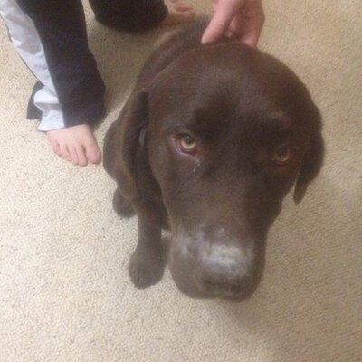 Profile Picture of Grant Madsen (@sparra63) on Twitter