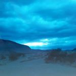 Profile Picture of Barry Barney (@barrybarney) on Instagram