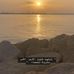 Profile Picture of Al Shareef (@forklift.ahmed.7) on Facebook