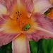Profile Picture of Roberta Dailey (@dailey4211) on Pinterest