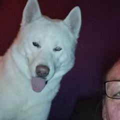 Profile Picture of Paul Theaker (@paul.theaker7) on Tiktok