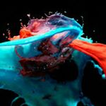 Profile Picture of Andrew Feliciano (@a_feliciano1116) on Instagram