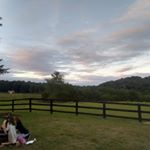 Profile Picture of Thomas Brame (@greenecountygreenthumb) on Instagram