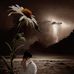 Profile Picture of Lara Rakan (@lara.rakan) on Facebook
