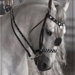 Profile Picture of Mariam aleadhra hussein (@mariam_.h20) on Instagram