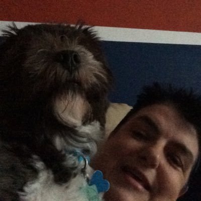 Profile Picture of Amanda Reid (@AJRMO6) on Twitter