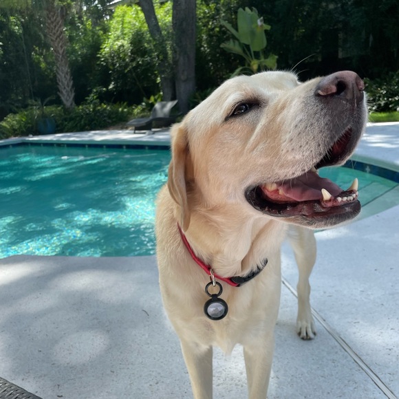 Alexandra Couturier - Poshmark Profile Picture of Alexandra Couturier (@alexandrassi) on Poshmark