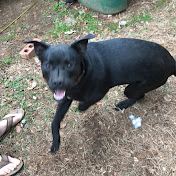 Profile Picture of Mason Phillips (@masonphillips5639) on Youtube