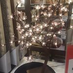 Profile Picture of Rachel Blanche (@balncherachael) on Instagram