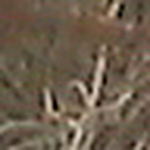 Profile Picture of Eileen Simpson (@hopes treasure chest) on Flickr