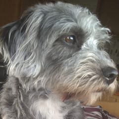Profile Picture of Chris Bracken (@chrisbracken) on Tiktok