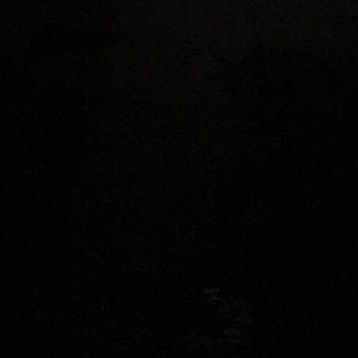 Profile Picture of Ok (@evan_wilkey) on Twitter