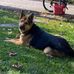 Profile Picture of Joe Grimaldi (@joe.grimaldi.524) on Facebook