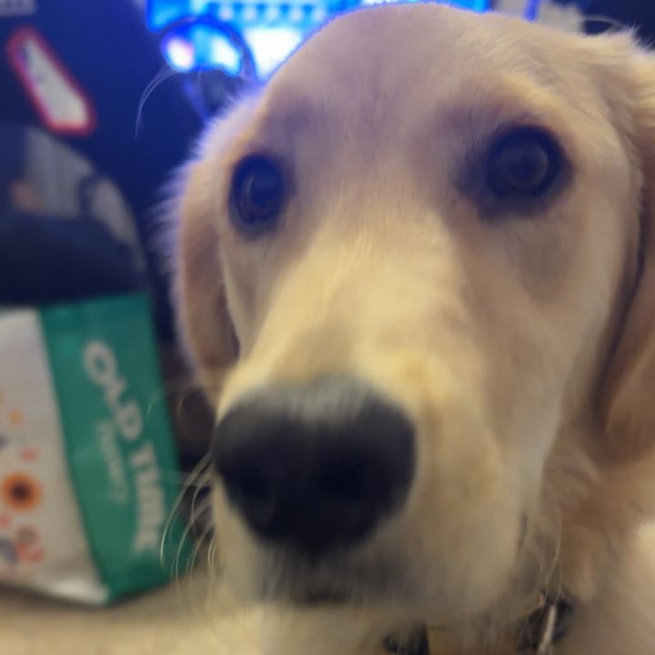 Profile Picture of paulfreeman (@paulfreeman1958) on Tiktok