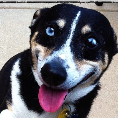 Profile Picture of Kristi Sinclair (@Ksbx3) on Twitter