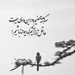 Profile Picture of Nargis Hamidi (@Nargis-Hamidi) on Facebook
