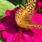 Profile Picture of Carol Styron (@carol.styron.186) on Facebook