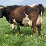 Profile Picture of Harris Eddy (@harris.eddy.1) on Facebook