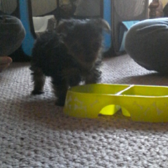 Profile Picture of Eddie Foster (@papamurphy2006) on Poshmark