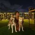 Profile Picture of Clara Liu (@clara.liu.39501) on Facebook