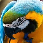 Profile Picture of James Norden (@james.norden.79) on Instagram