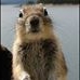 Profile Picture of Alberta Willett (@alberta.willett.3) on Facebook