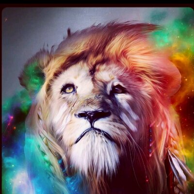 Profile Picture of Matteo Rocco (@MatteoRocco14) on Twitter