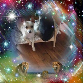 Profile Picture of Lidia Richards (@lidia.richards) on Facebook