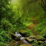 Profile Picture of Govin Ram (@Govin-Ram) on Facebook