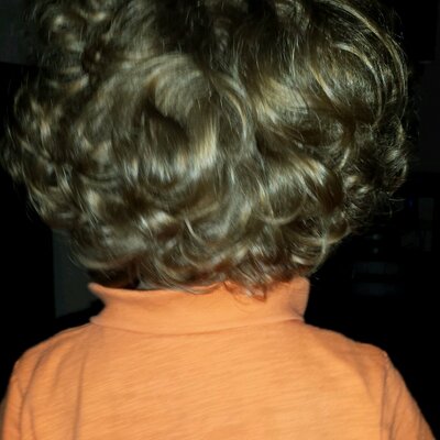 Profile Picture of Joe Sforza (@joespider) on Twitter