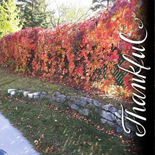 Profile Picture of Audrey Sudlow (@audrey.sudlow) on Facebook