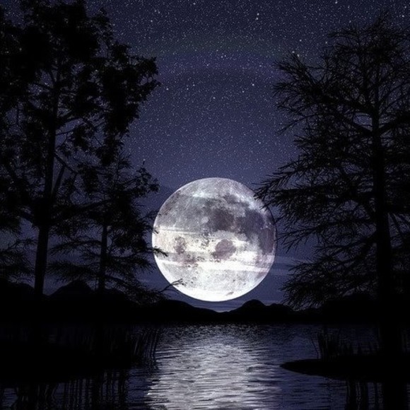 Profile Picture of Lorene Bowkley (@lorenesattic) on Poshmark