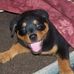 Profile Picture of Abel Campbell (@abel.campbell.77) on Facebook