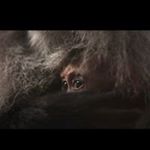Profile Picture of Richard Pi (@richard.pieper) on Instagram