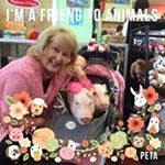 Profile Picture of Janice Riddle Husebo (@husebojanice) on Instagram