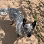 Profile Picture of Andrew (@andrew_niven) on Instagram