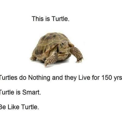 Profile Picture of Adam (@adacobb123) on Twitter