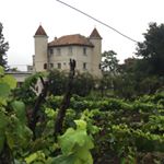 Profile Picture of Viñedo Chateau Defay Guatemala (@chateau_defay_guatemala) on Instagram
