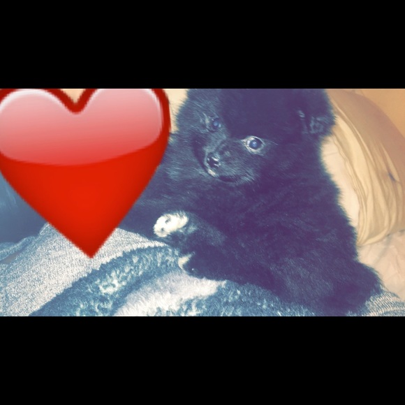 Profile Picture of Crystal Solano (@benisha_19) on Poshmark