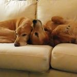 Profile Picture of Chadd Winston Moore (@chaddwinstonmoore) on Instagram