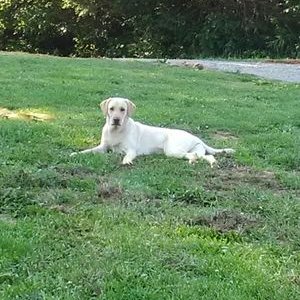 Profile Picture of Marlene Witt (@MarleneWitt20) on Twitter