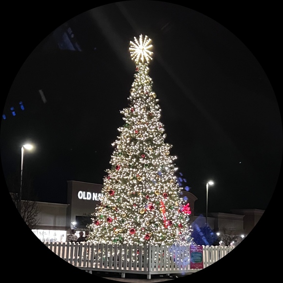 Profile Picture of Bakhtli Askarova (@askarovab) on Poshmark