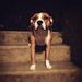 Profile Picture of Matt Linton (@mattlint55) on Pinterest