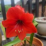 Profile Picture of Barb N Eddie Rager (@barbrager) on Instagram