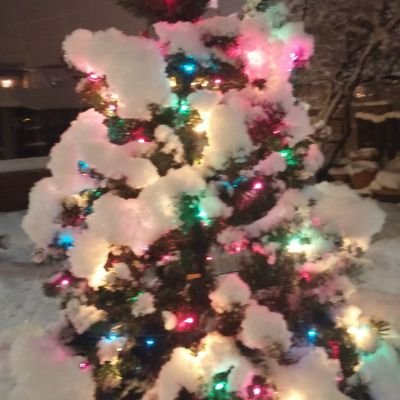 Profile Picture of Michael Iwanicki (@wan71163) on Twitter